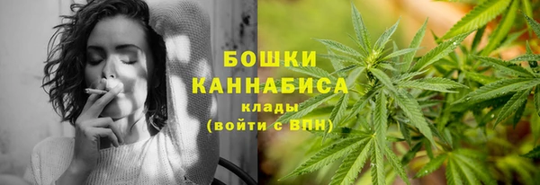 ECSTASY Богородицк