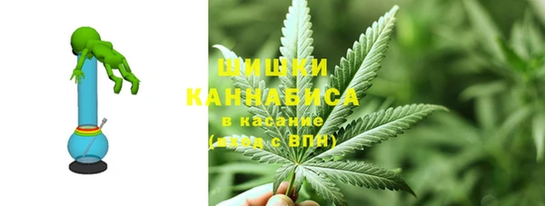 ECSTASY Богородицк